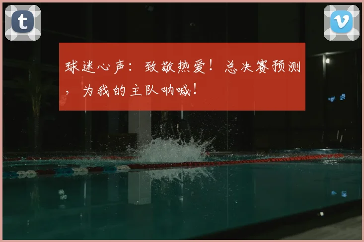 球迷心声：致敬热爱！总决赛预测，为我的主队呐喊！