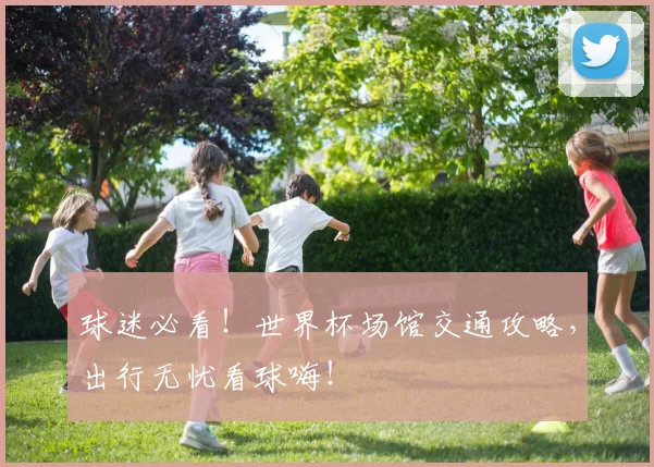 球迷必看！世界杯场馆交通攻略，出行无忧看球嗨！