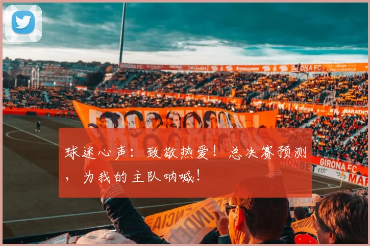 球迷心声：致敬热爱！总决赛预测，为我的主队呐喊！